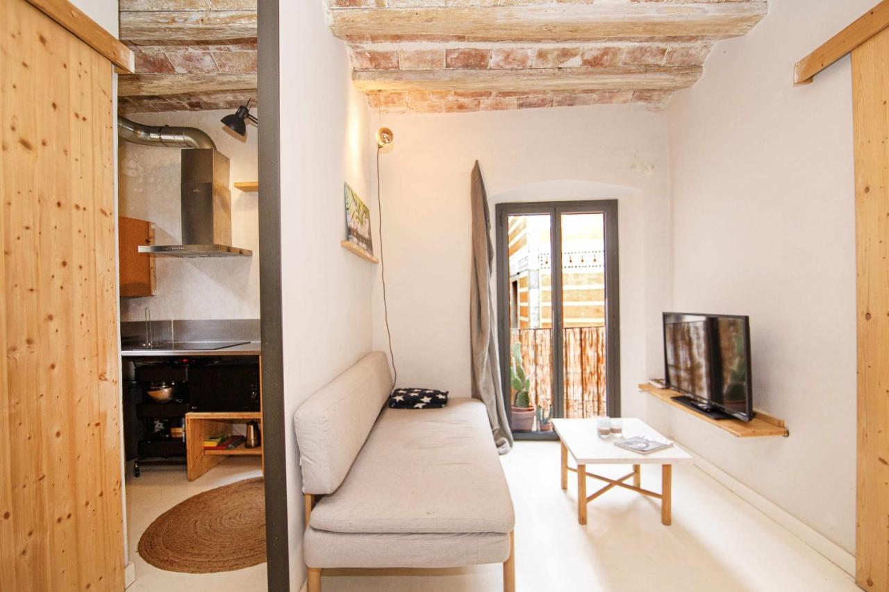 Apartamento Tr Auriga En El Barri Vell 赫罗纳 外观 照片