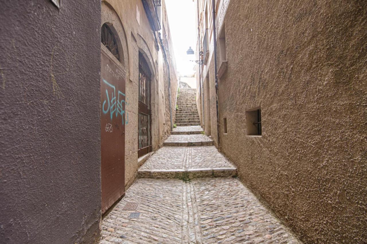 Apartamento Tr Auriga En El Barri Vell 赫罗纳 外观 照片